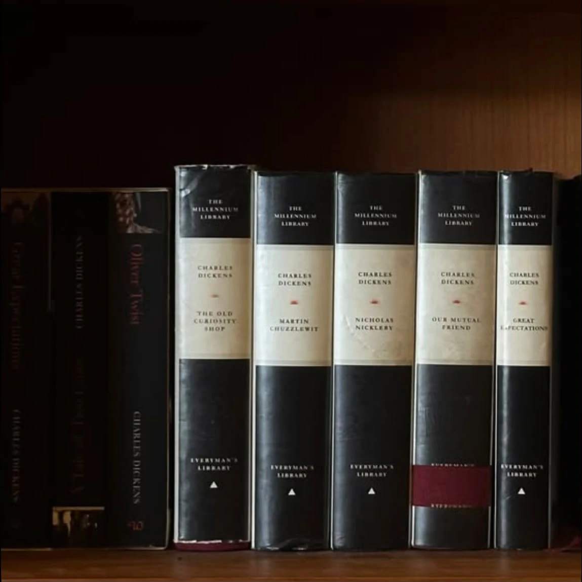 A shelf of leather-bound books